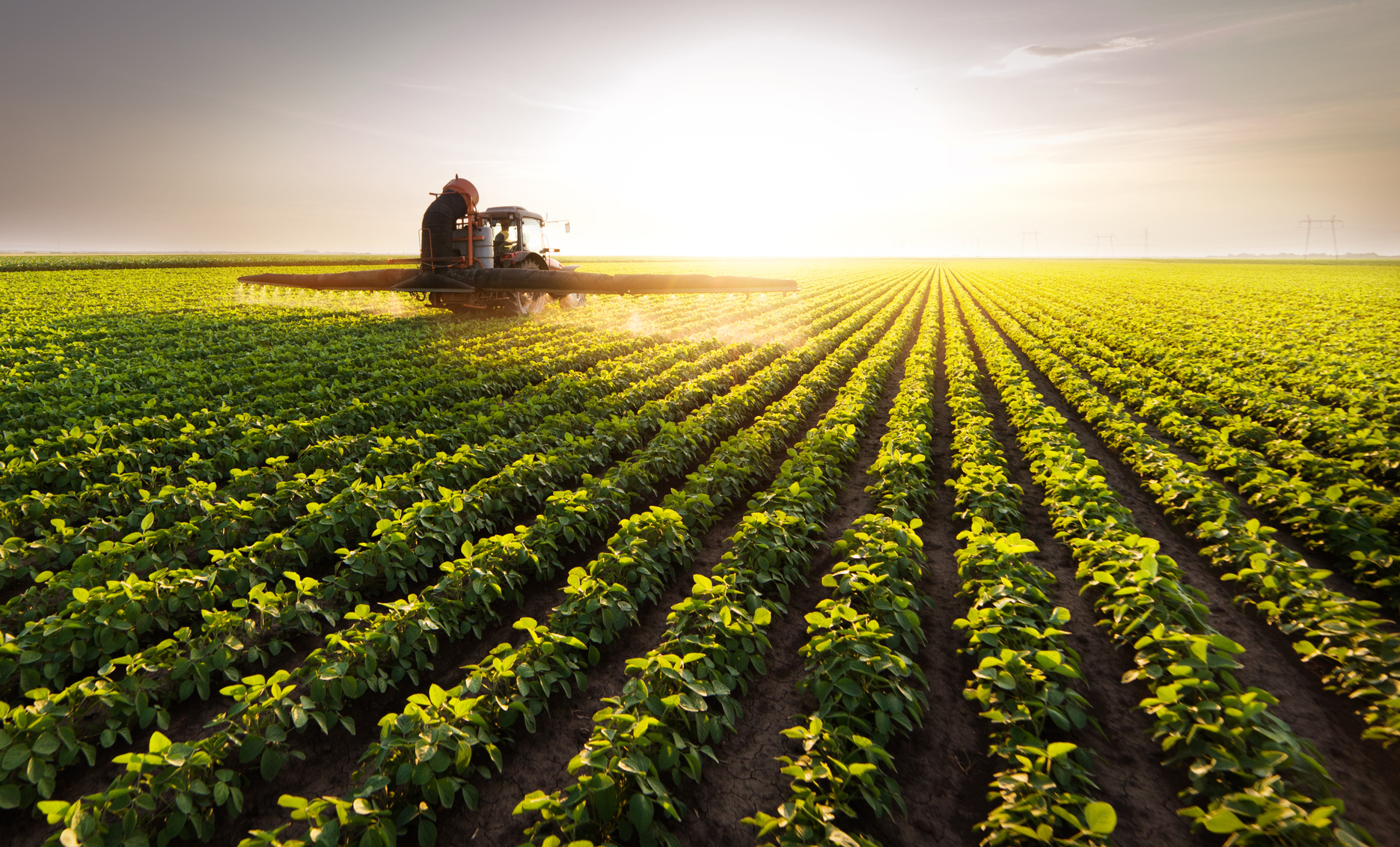 Tractor spraying pesticides at soy bean fields